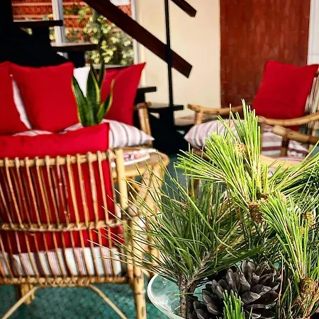 La Scogliera מלון 2*