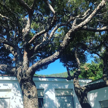 La Scogliera Hotell Cavi di Lavagna