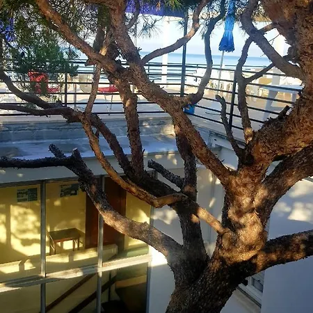 La Scogliera Cavi di Lavagna